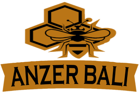 Anzer Bal Evi
